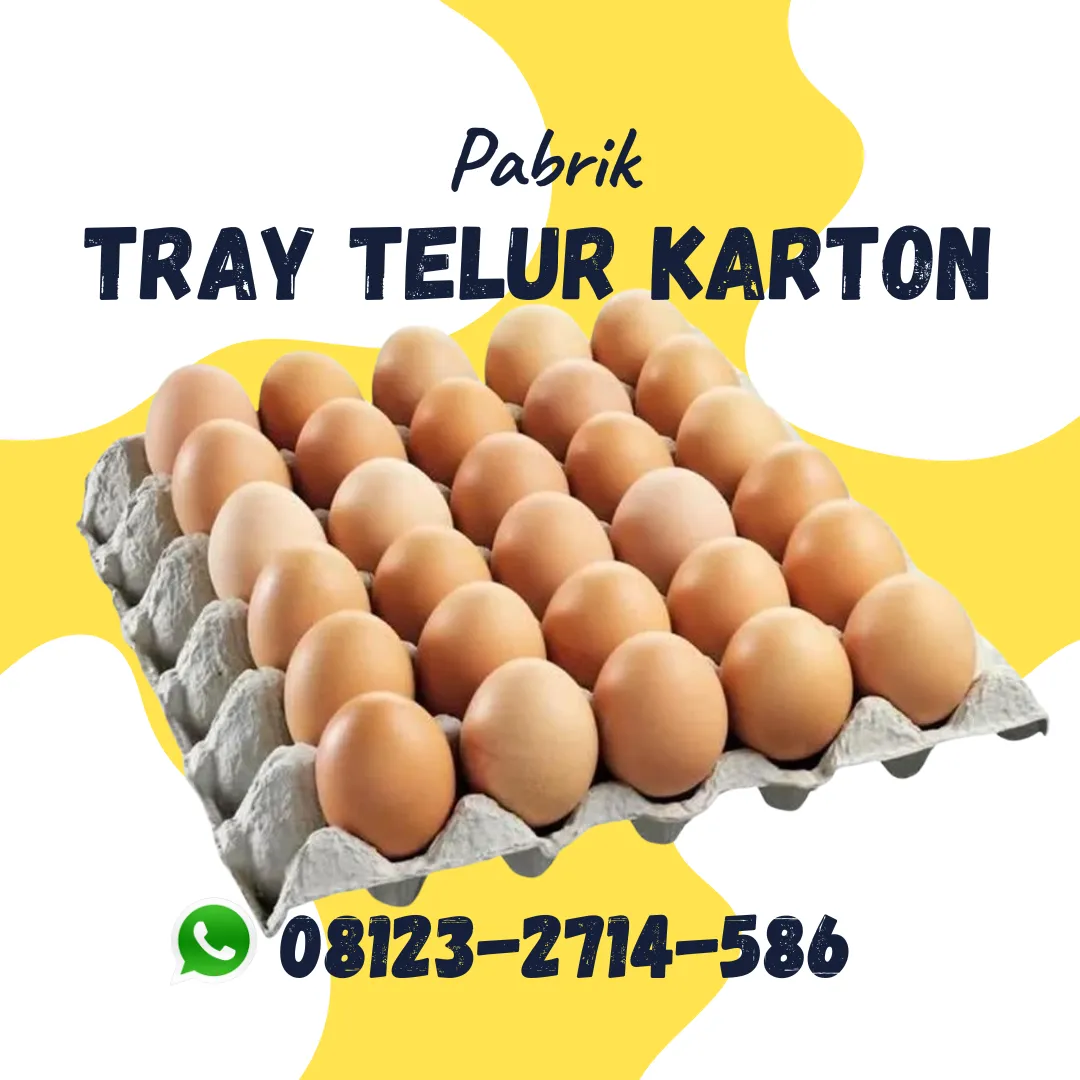 Tempat Naruh Telur Karton Diskon Menarik Selemadeg Barat Tabanan Bali (113)