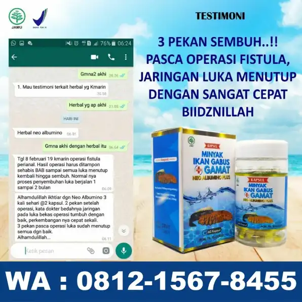 0812-1567-8455 Grosir Neo Albumino Plus Di KalUt