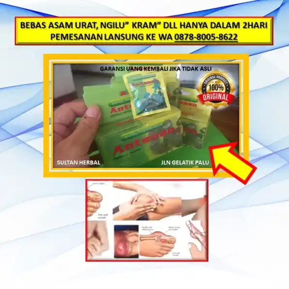 0878-8005-8622 Obat Alami Untuk Menurunkan Kolesterol Di Kota Palu