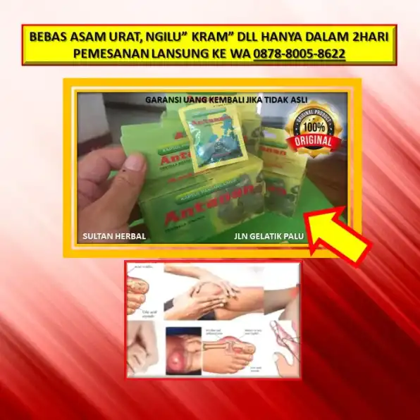 0878-8005-8622 Obat Alami Kolesterol Untuk Bumil Di Kota Palu