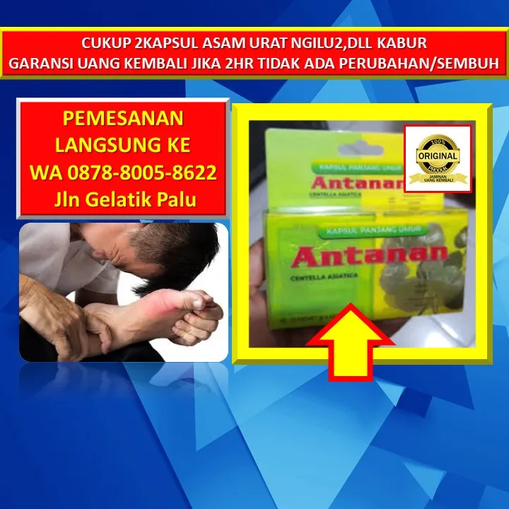 0878-8005-8622 Obat Alami Kolesterol Untuk Bumil Di Kota Palu