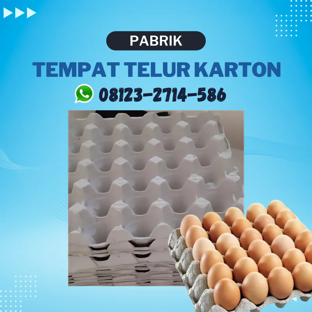 Rak Telor Terbuat Dari Apa (Tray Telur) - Kualitas Tinggi Kirim ke Gunungsari Lombok Barat (36)