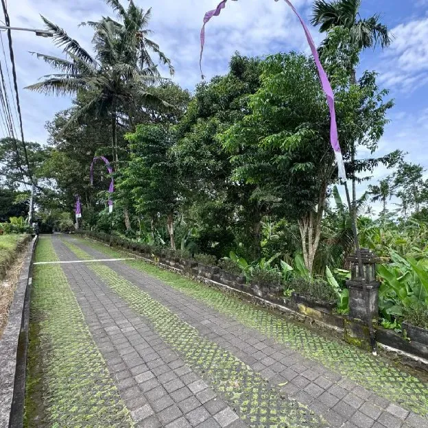 Dijual 59 are & 1,68 Ha. Jl. Batu Kurung I Raya Bunutan Kedewatan Ubud Gianyar