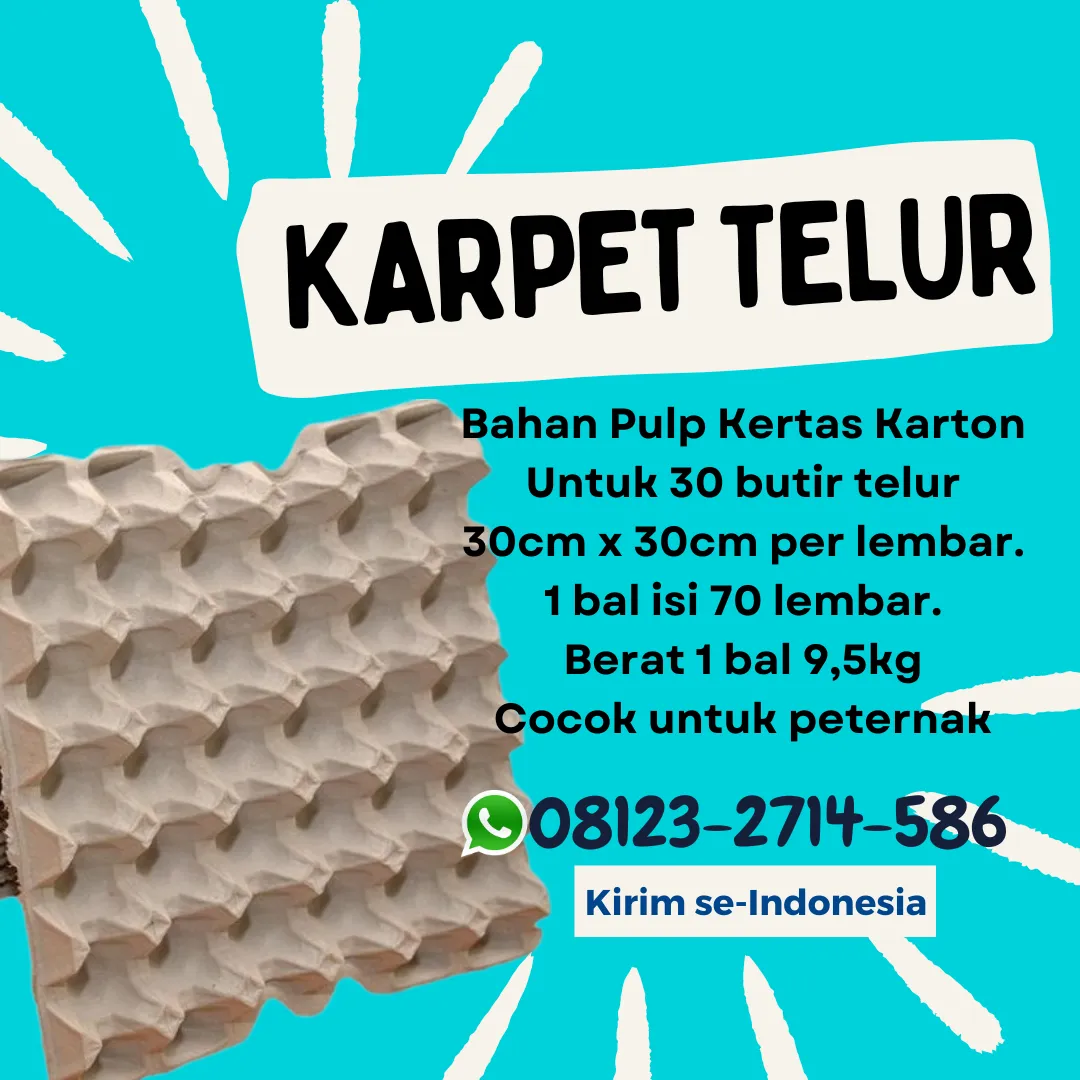 Tempat Naruh Telur Kertas Karton Harga Miring Kerambitan Tabanan Bali (164)