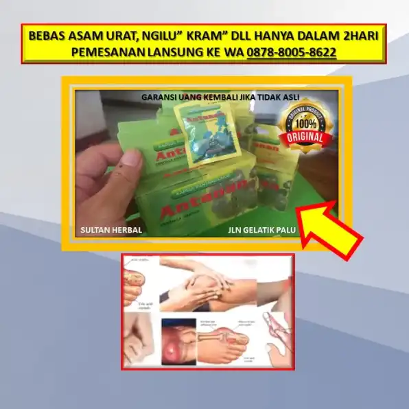 0878-8005-8622 Obat Sakit Lutut Ngilu Di Kota Palu