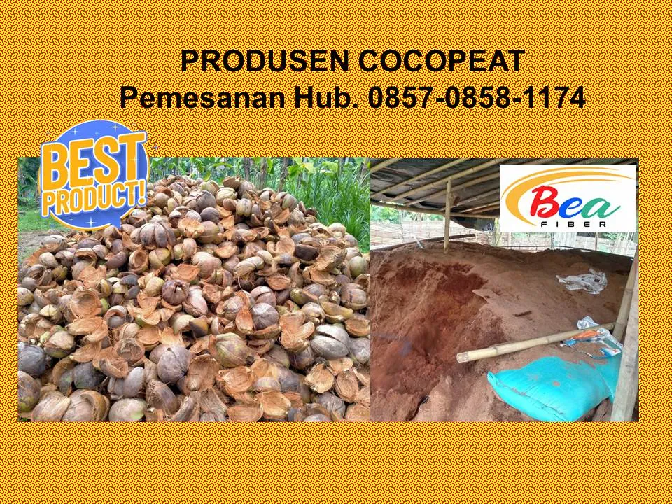 Pabrik Cocopeat Untuk Media Tanam Organik di Apartemen Banyuwangi Sidoarjo BEA FIBER