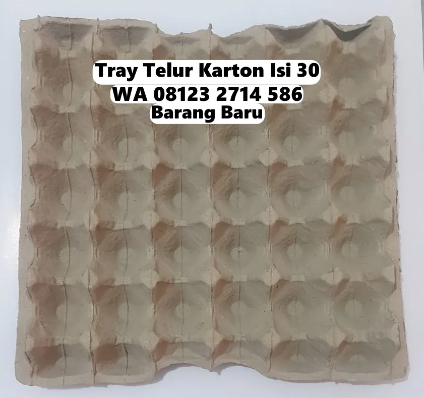 Trey Telor Karton Kardus Harga Bersahabat Baturiti Tabanan Bali (89)