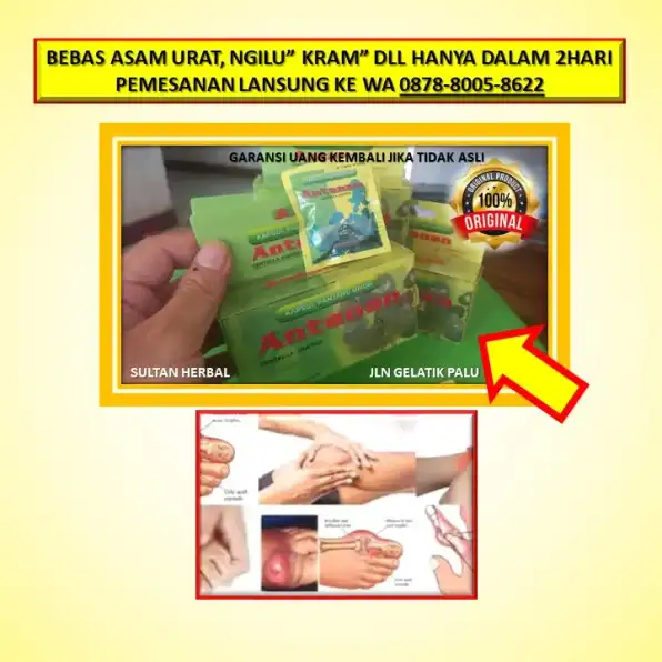 WA: 0878-8005-8622 Obat Asam Urat Di Kaki Di Kota Palu