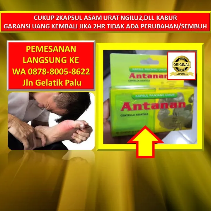 WA: 0878-8005-8622 Obat Kolesterol Alami Tradisional Zaidul Akbar Di Kota Palu