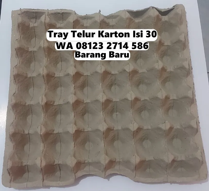 Trey Telor Kertas (Tray Telur) - Harga Hemat Kirim ke Lingsar Lombok Barat (37)
