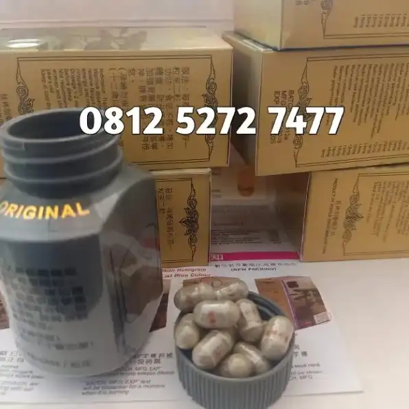 Jual Obat Penggemuk Badan Di tual 08125272777 - Kianpi Pil Gold