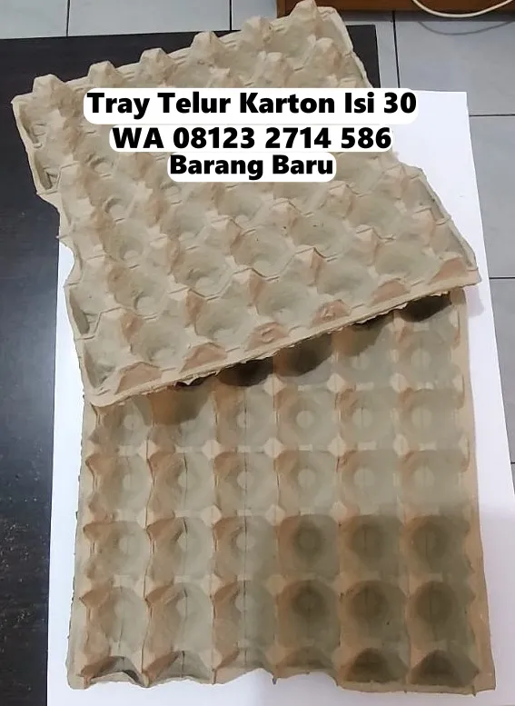 Krat Telur Kertas Karton Cepat dan Aman Selemadeg Tabanan Bali (151)