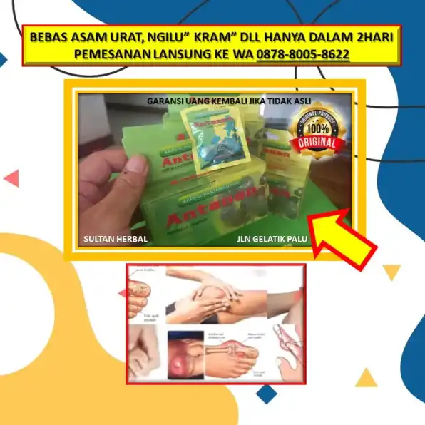 0878-8005-8622 Obat Alami Kolesterol Dan Asam Lambung Di Kota Palu