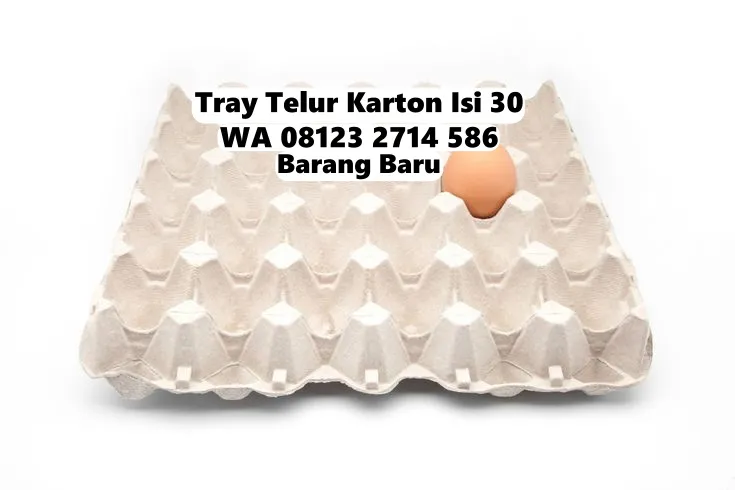 Tempat Naruh Telor Kertas Karton Inovasi Baru Kediri Tabanan Bali (166)