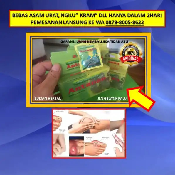 WA: 0878-8005-8622 Obat Asam Urat Bengkak Lutut Di Kota Palu