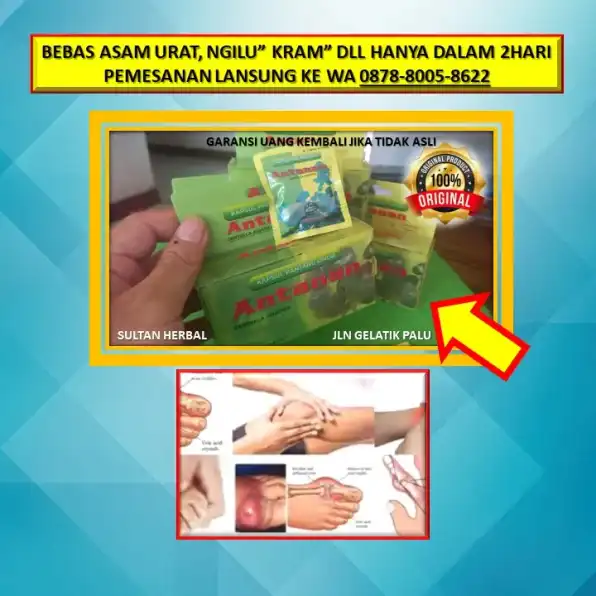 WA: 0878-8005-8622 Obat Asam Urat Lambung Di Kota Palu