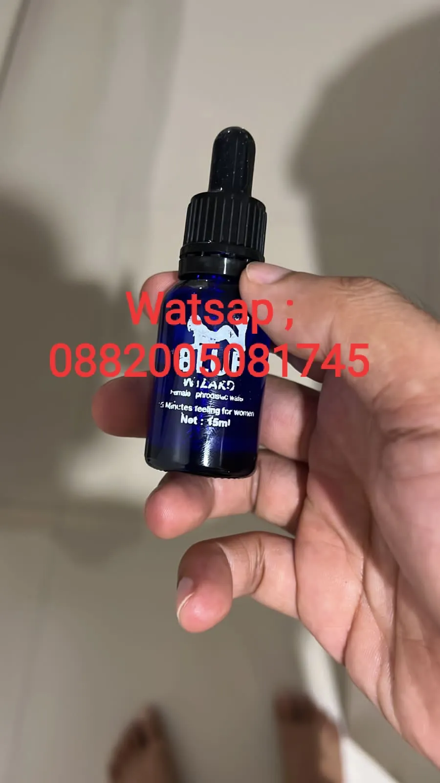 0882005081745 Jual Blue Wizard Asli Di Seminyak Bali Cod Lasung Bosqu