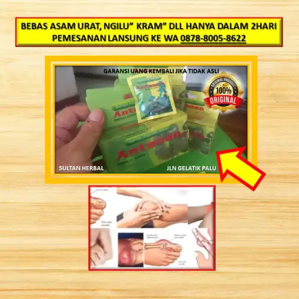 0878-8005-8622 Obat Kolesterol Dan Asam Urat Tinggi Di Apotik Di Kota Palu