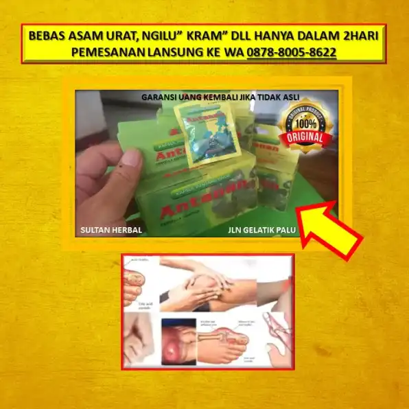 Obat Kolesterol Terbaik Alami Di Kota Palu