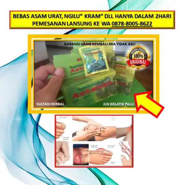 0878-8005-8622 Obat Asam Urat Yang Paten Di Kota Palu