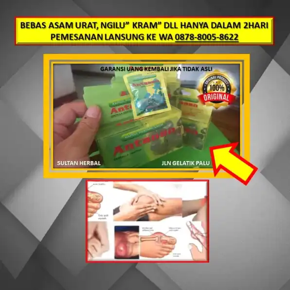 0878-8005-8622 Obat Asam Urat Itu Apa Namanya Di Kota Palu