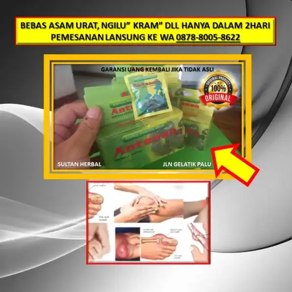 0878-8005-8622 Obat Alami Kolesterol Untuk Bumil Di Kota Palu