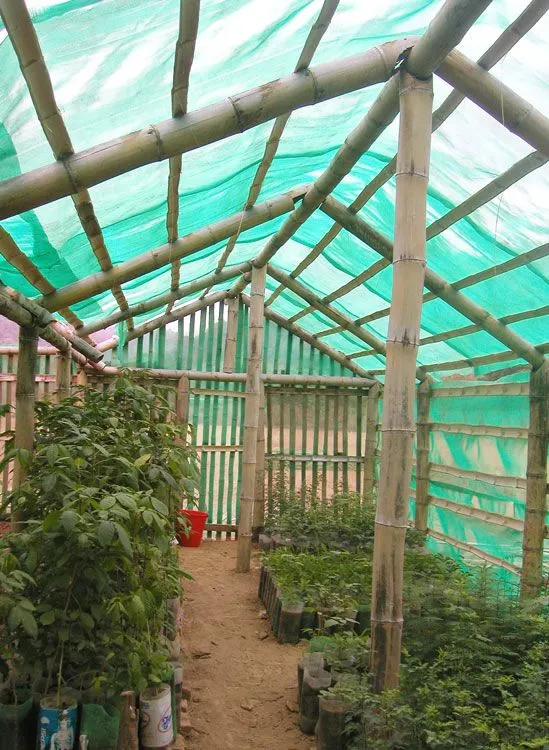 Jasa Pembuatan Greenhouse Bambu Terbaik, , Bangil, Pasuruan