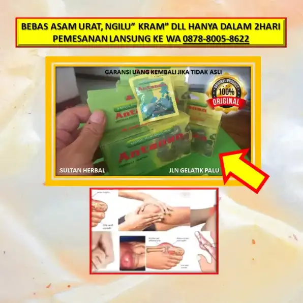 0878-8005-8622 Obat Asam Urat Normal Wanita Di Kota Palu