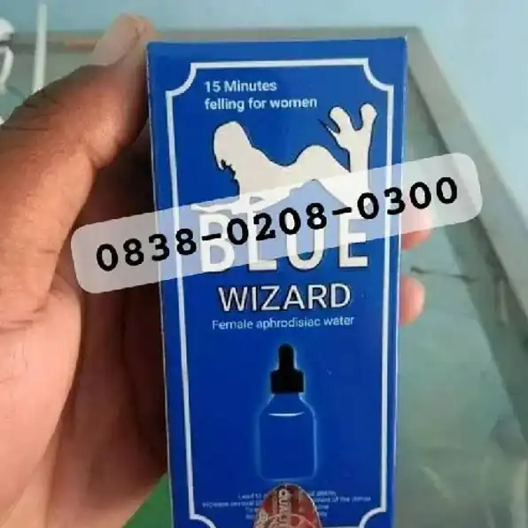 Alamat Jual Blue Wizard Asli Di Kendari 083802080300 Agen Blue Wizard Germany