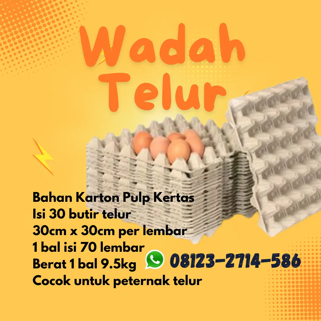Papan Telor Kertas Harga Murah Selemadeg Tabanan Bali (31)
