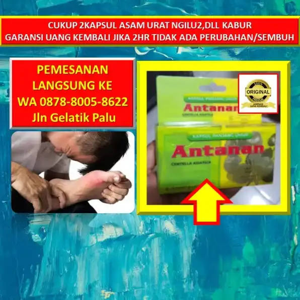 0878-8005-8622 Obat Asam Urat Buat Ibu Menyusui Di Kota Palu