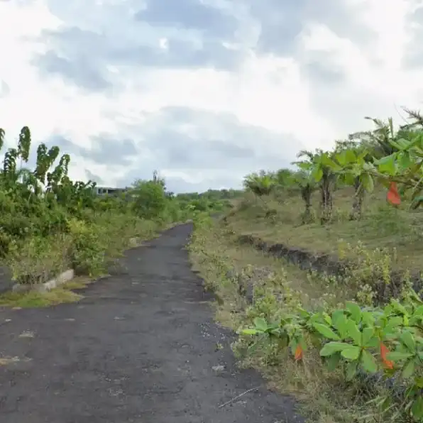 Dijual 3,05 Ha. Jl. Binginsari Timur Patung GWK Goa Gong Ungasan Kuta Selatan