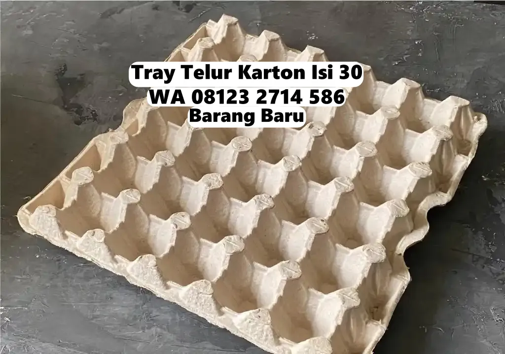 Trey Telur Kertas Karton Cepat Sampai Selemadeg Barat Tabanan Bali (3)