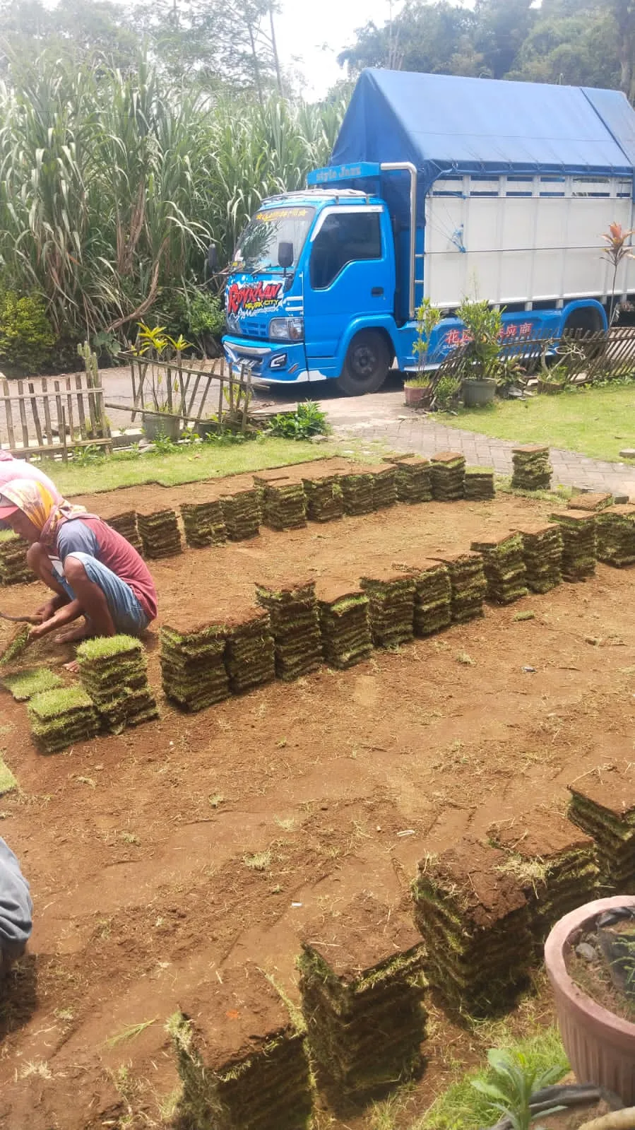Supplier Rumput Golf Tulungagung Terbaik