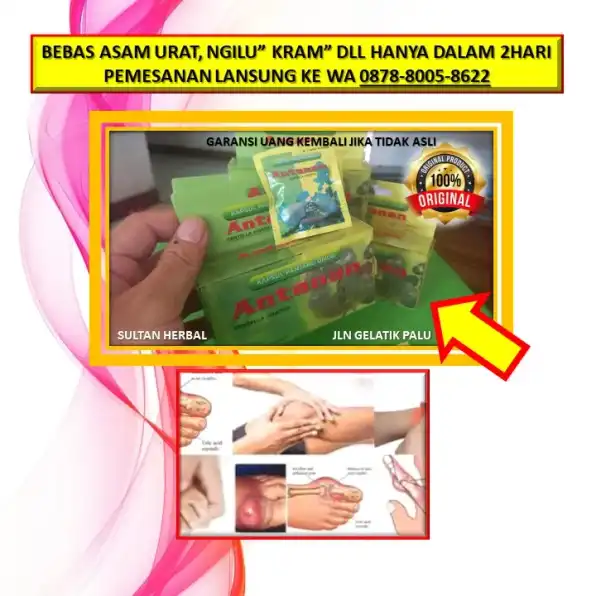 0878-8005-8622 Obat Asam Urat Rekomendasi Dokter Di Kota Palu