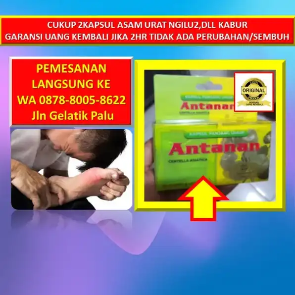 WA: 0878-8005-8622 Obat Asam Urat Tong Mai Dan Di Kota Palu