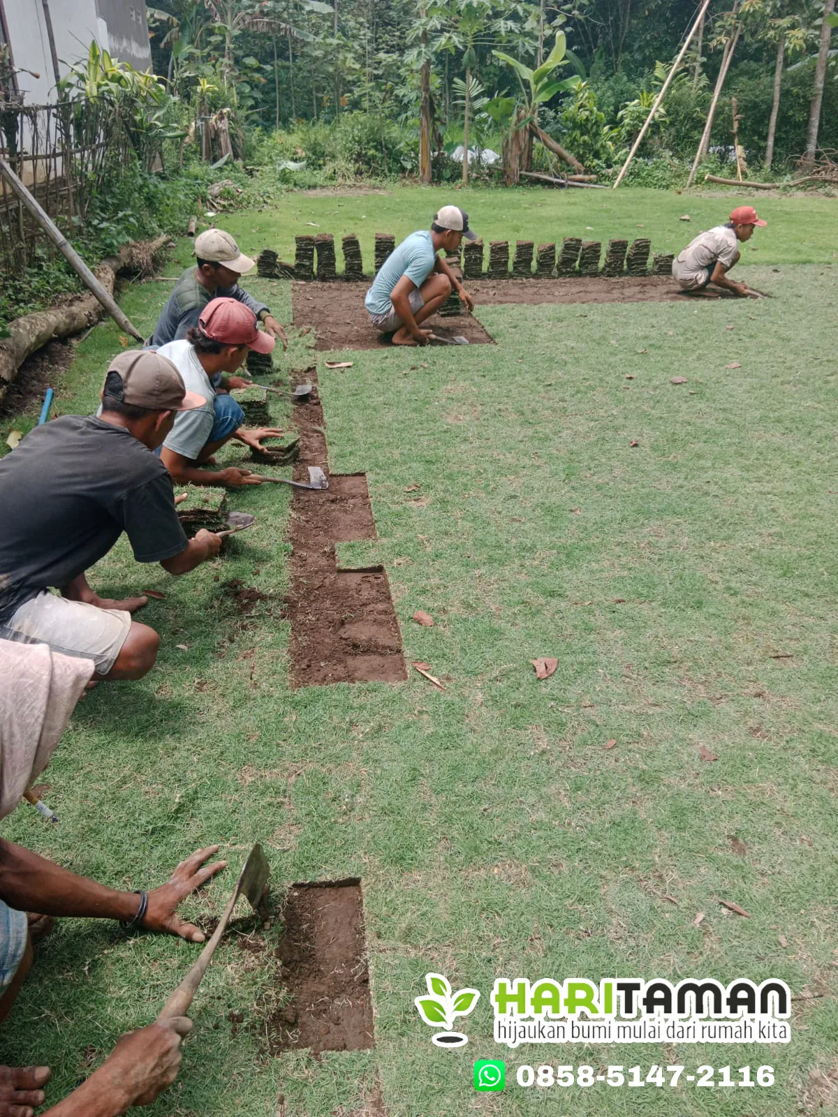 Harga Rumput Jepang Kota Madiun Permeter