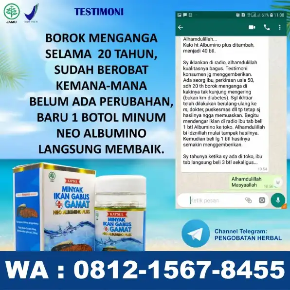 0812-1567-8455 Grosir Neo Albumino Plus Di KalUt