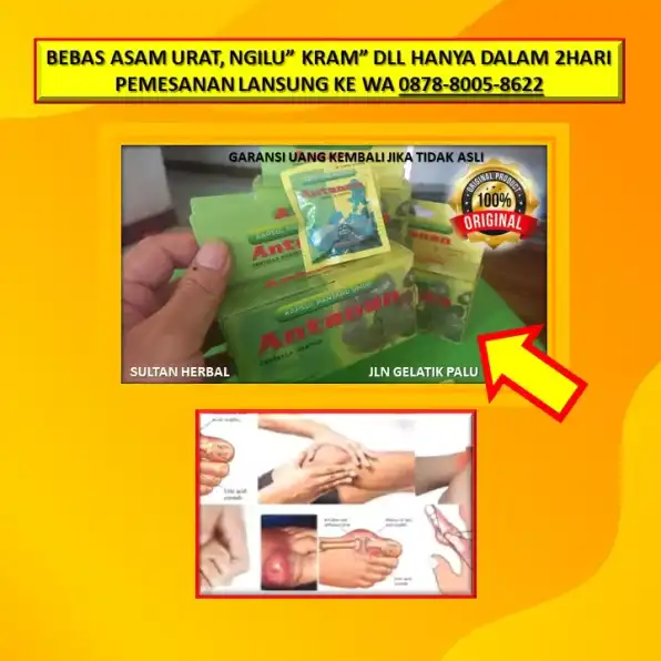 0878-8005-8622 Obat Alami Kolesterol Secara Tradisional Di Kota Palu