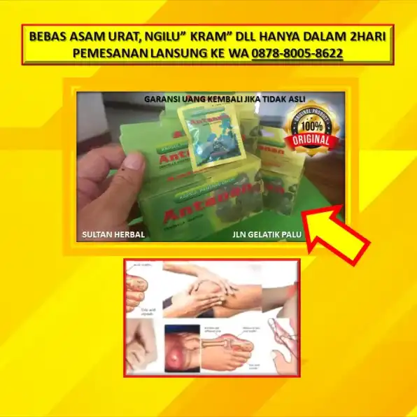 WA: 0878-8005-8622 Obat Asam Urat Stadium 4 Di Kota Palu