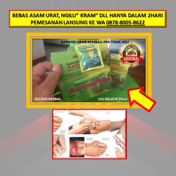 WA: 0878-8005-8622 Obat Asam Urat Fase Akut Di Kota Palu