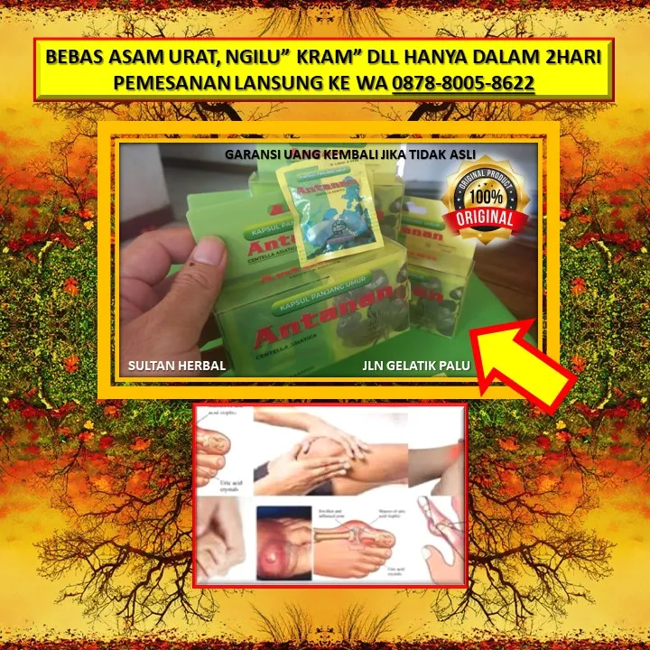 Obat Kolesterol Untuk Pemula Di Kota Palu