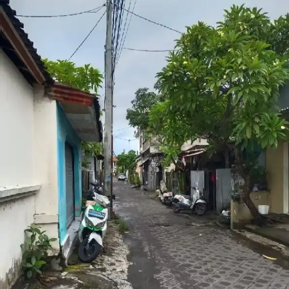 Dijual 2,5 are, Free Rumah Tua, Jl. Gelogor Carik Pemogan Denpasar Selatan