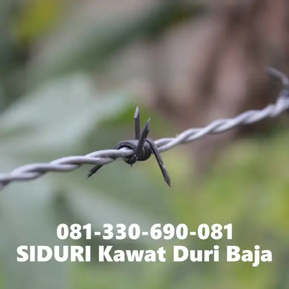 Pilihan Terbaik! Siduri Harga Kawat Duri 100 Meter Mulyorejo Surabaya WA 081-330-690-081 #26