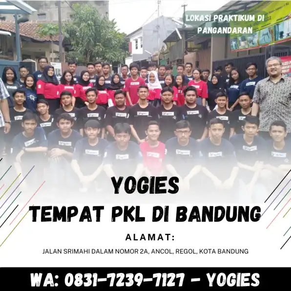 WA : 0831-7239-7127 ( YOGIES ) ,Tempat PKL Di Bandung, Yogies, Area Pelatihan Kerja Di Indramayu, Area Pelatihan Kerja Di Kuningan, Area Pelatihan Kerja Di Majalengka , Jurusan Bisnis Digital