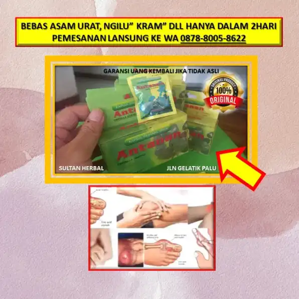 WA: 0878-8005-8622 Obat Asam Urat Apa Ya Di Kota Palu