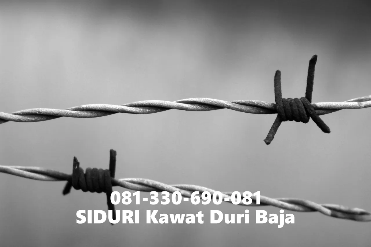 Konsultasi ke 081-330-690-081 Siduri Harga Kawat Duri Per Gulung Sukolilo Surabaya Rapi dan Aman! #9