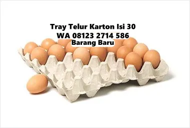 Wadah Telur Kertas Kualitas No.1 Penebel Tabanan Bali (128)