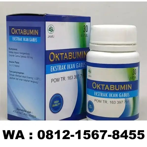 0812-1567-8455 Grosir Oktabumin Kapsul Ekstrak Ikan Gabus Di Sulawesi Selatan