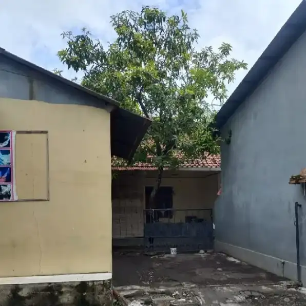 Dijual 2,5 are, Free Rumah Tua, Jl. Gelogor Carik Pemogan Denpasar Selatan